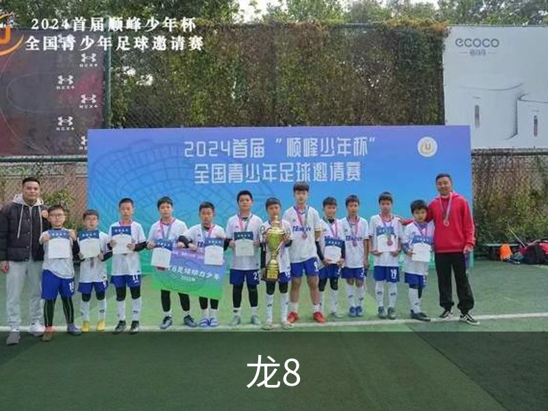 走进龙8